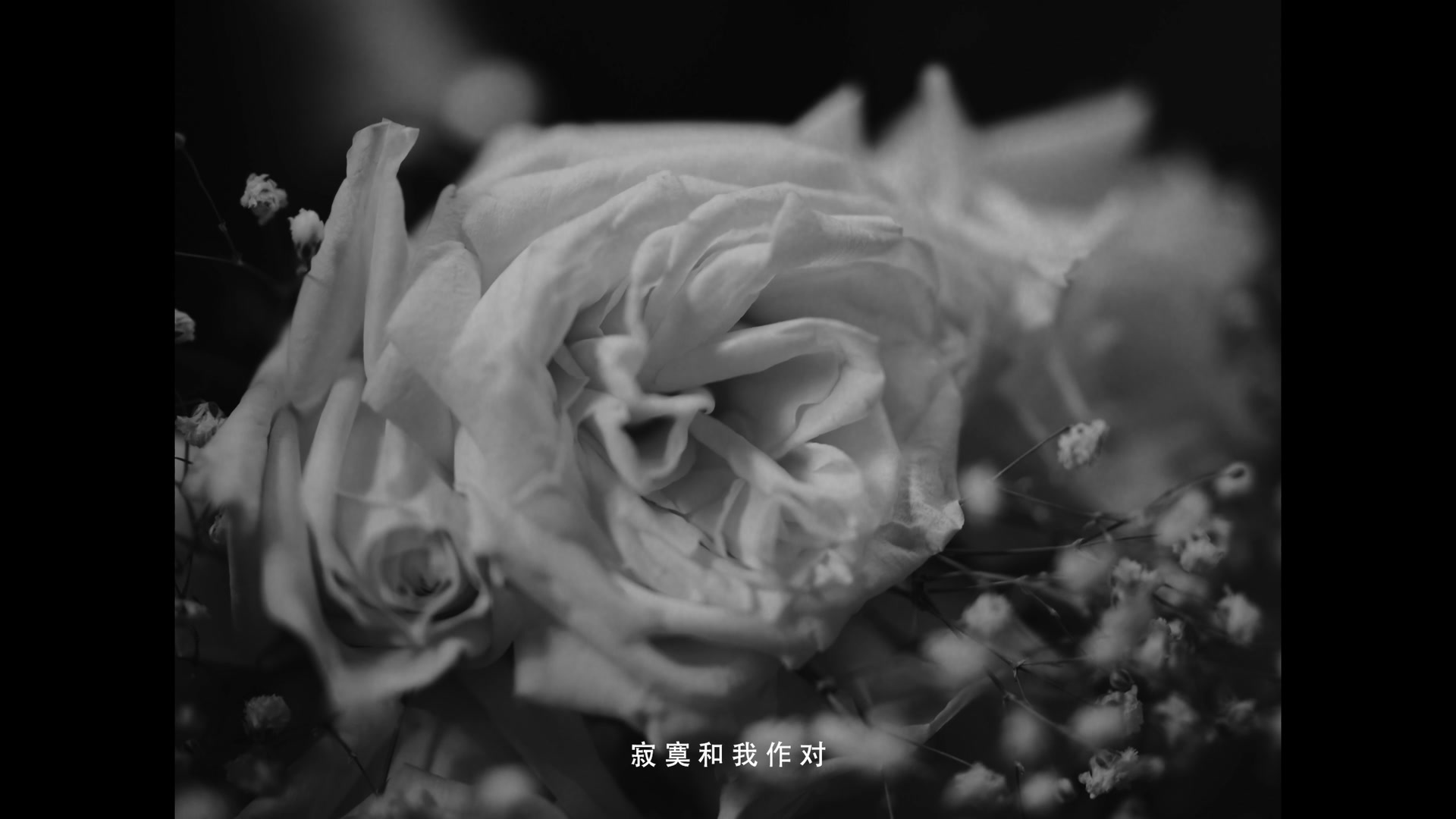 罗言《该死的泪》 still 5
