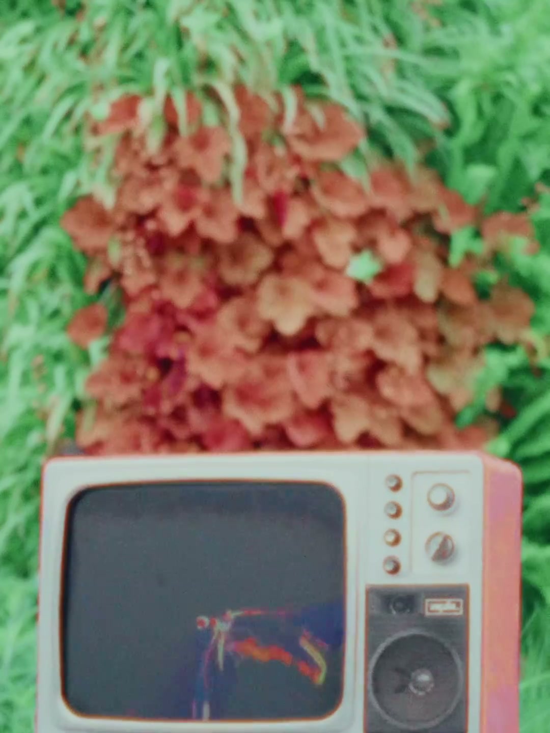 LOVE IS LOVE | 成都SKP"520"(DC) still 10