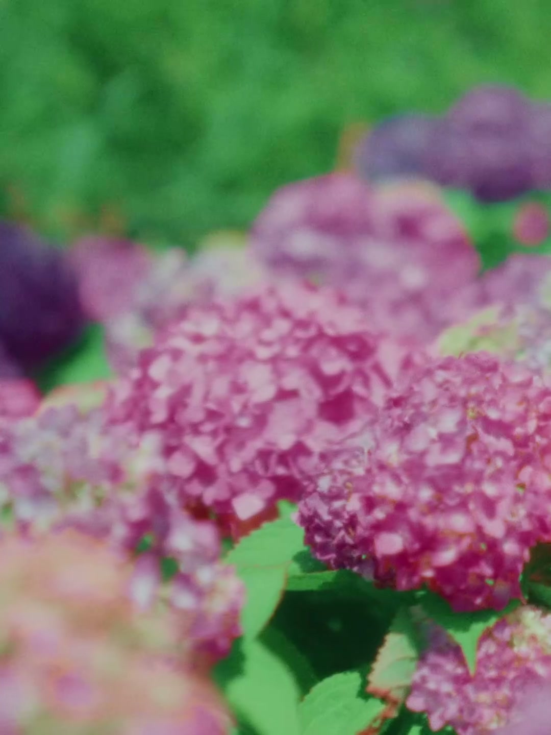 LOVE IS LOVE | 成都SKP"520"(DC) still 11