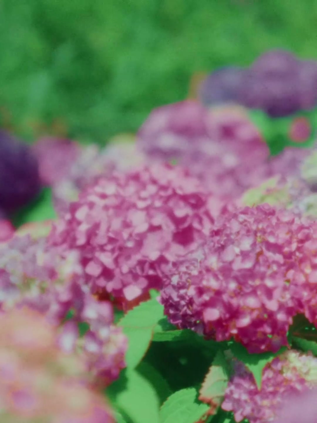 LOVE IS LOVE | 成都SKP"520"(DC) still 12