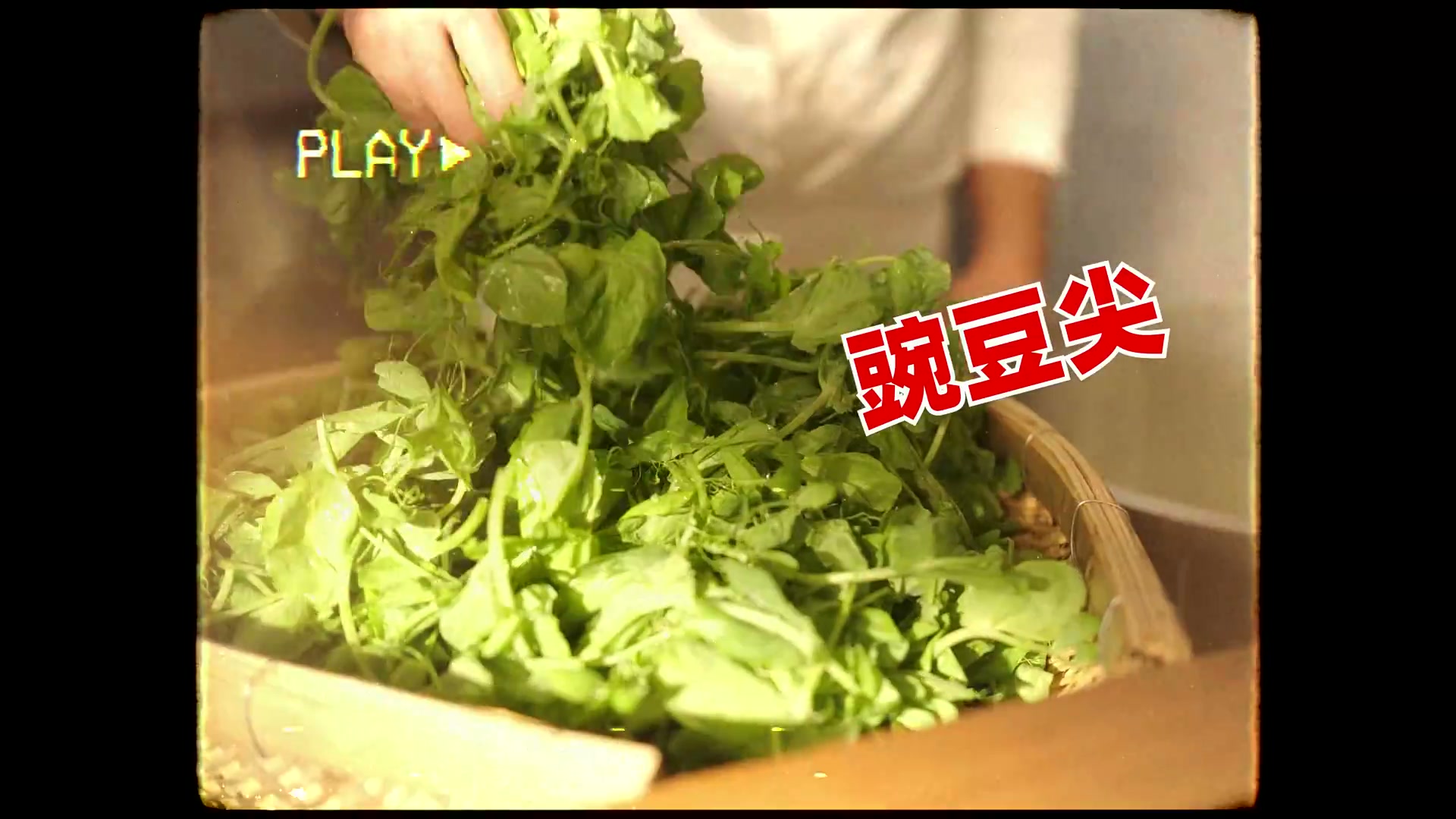 成都创业注意手册，靠谱！ still 16