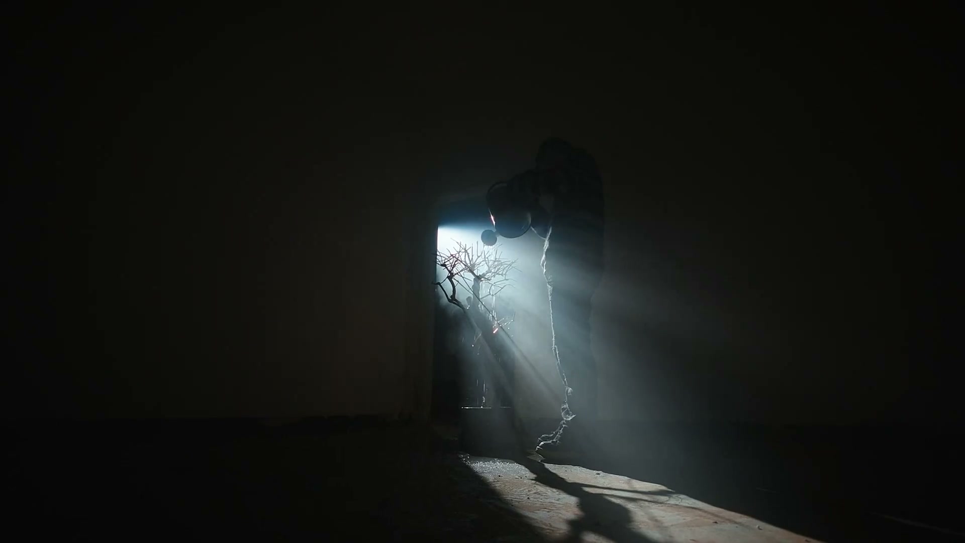 Skii-Dir cut彩色 still 3
