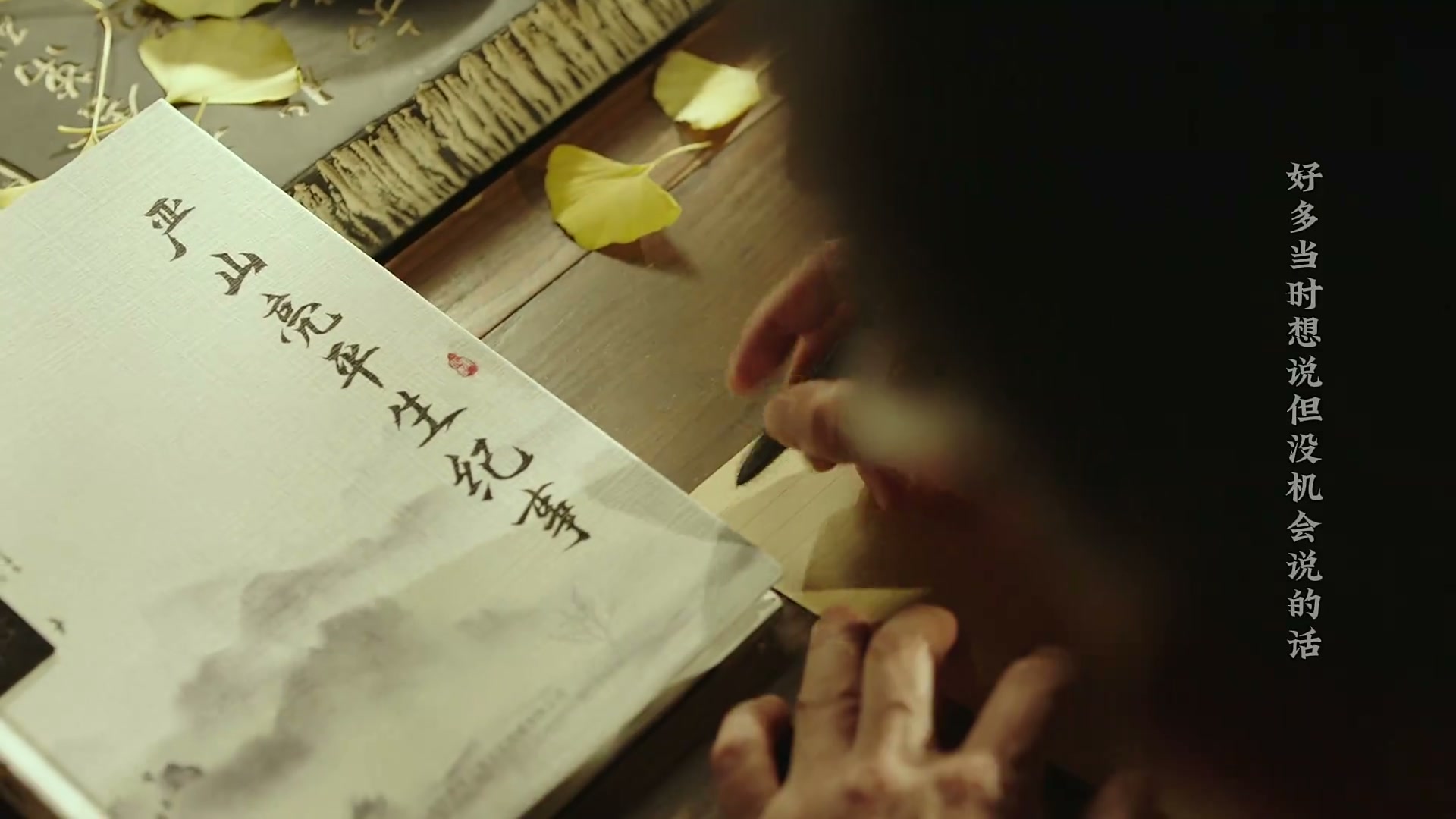 《家书》——每个生命都值得被传颂 still 15